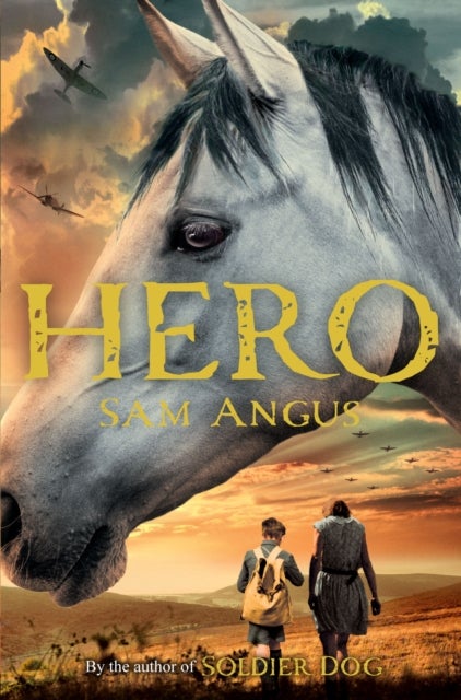 Bilde av A Horse Called Hero Av Sam Angus