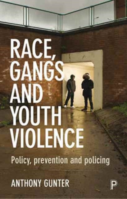 Bilde av Race, Gangs And Youth Violence Av Anthony (university Of East London) Gunter
