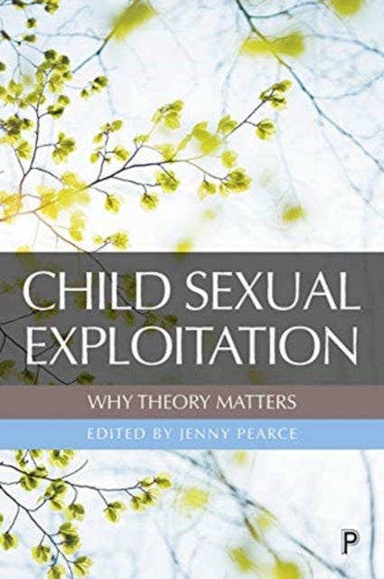 Bilde av Child Sexual Exploitation: Why Theory Matters