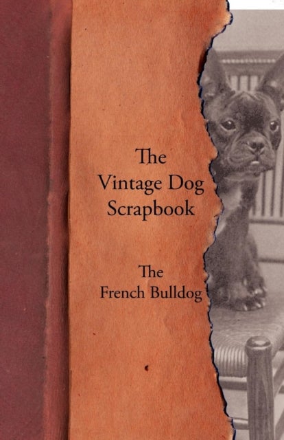 Bilde av The Vintage Dog Scrapbook - The French Bulldog Av Various