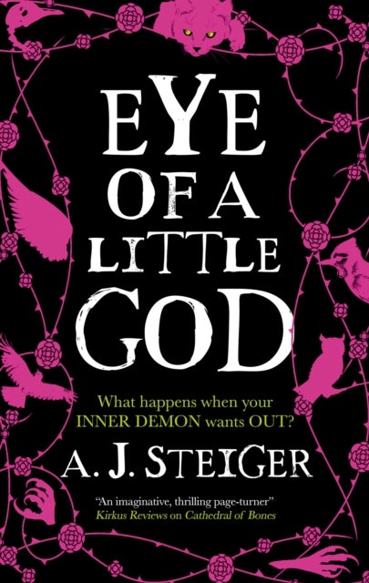 Bilde av Eye Of A Little God Av A.j. Steiger