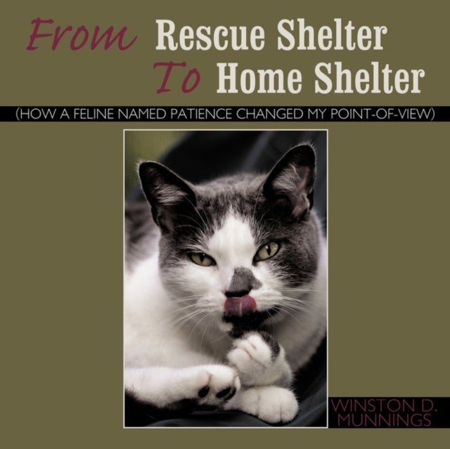 From Rescue Shelter To Home Shelter - (How A Feline Named Patience Changed My Point-Of-View)