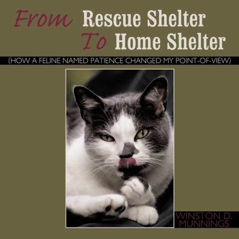 From Rescue Shelter To Home Shelter - (How A Feline Named Patience Changed My Point-Of-View)