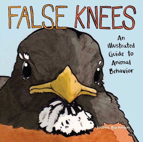 False Knees - An Illustrated Guide to Animal Behavior