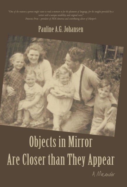 Objects in Mirror Are Closer Than They Appear - A Memoir