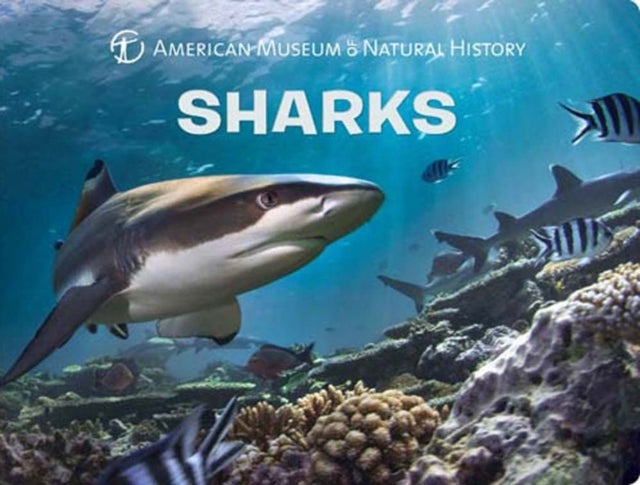 Bilde av Sharks Av American Museum Of Natural History