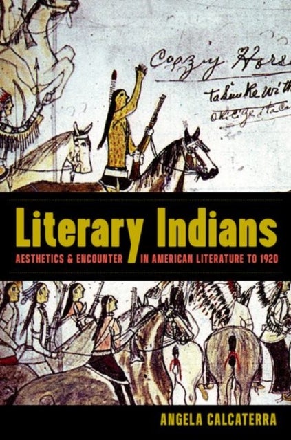 Literary Indians - Aesthetics and Encounter in American Literature to 1920
