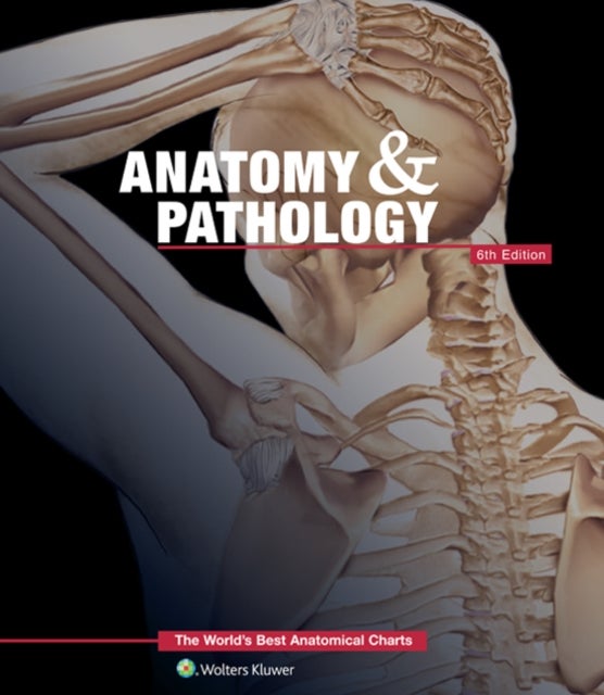 Bilde av Anatomy &amp; Pathology:the World&#039;s Best Anatomical Charts Book Av Anatomical Chart Company