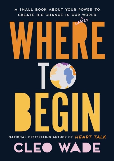 Where to Begin - A Small Book about Your Power to Create Big Change in Our Crazy World