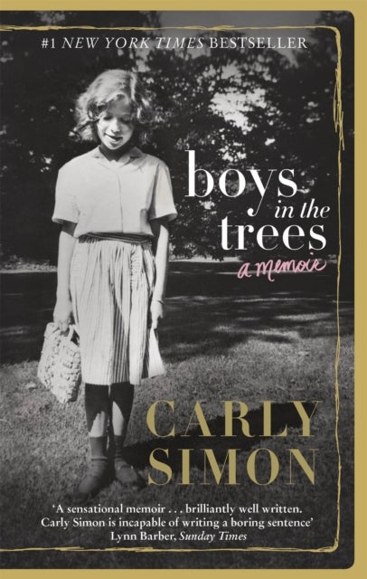 Bilde av Boys In The Trees Av Carly Simon
