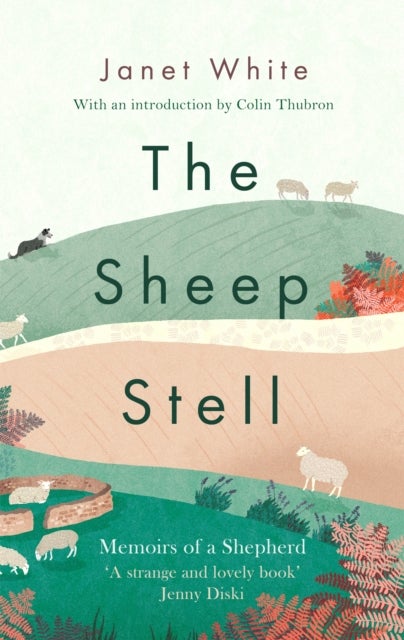 The Sheep Stell - Memoirs of a Shepherd