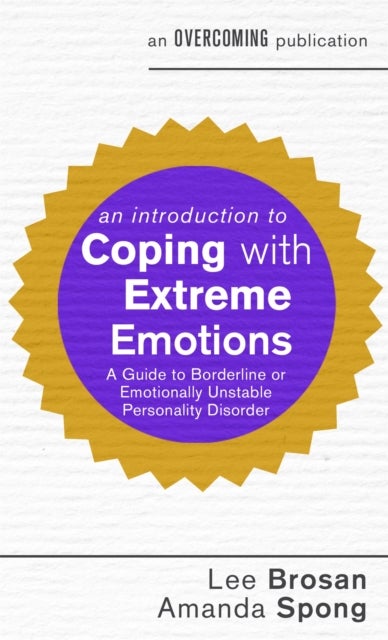 An Introduction to Coping with Extreme Emotions - A Guide to Borderline or Emotionally Unstable Personality Disorder