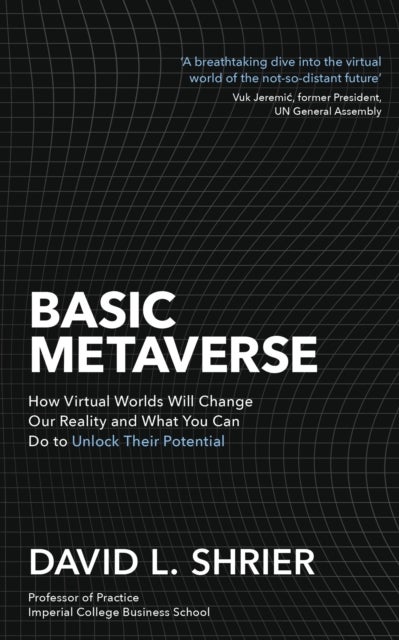 Basic Metaverse - How Virtual Worlds Will Change Our Reality and What You Can Do to Unlock Their Potential