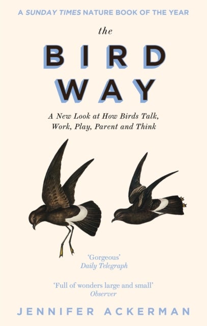 The Bird Way - A New Look at How Birds Talk, Work, Play, Parent, and Think