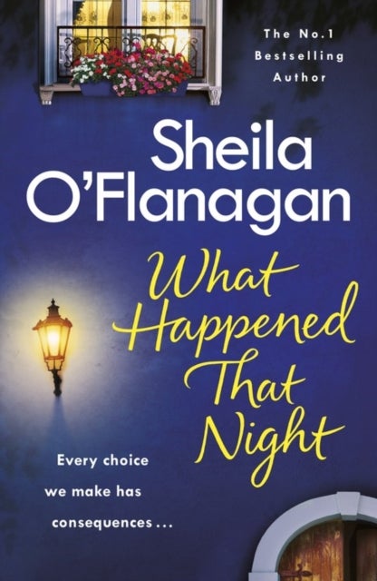 Bilde av What Happened That Night Av Sheila O&#039;flanagan