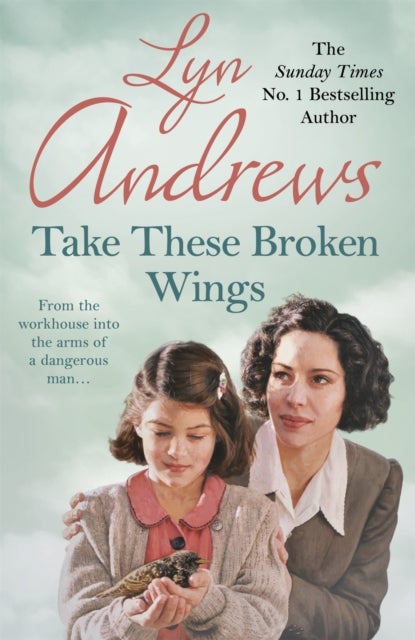 Take these Broken Wings - Can she escape her tragic past?