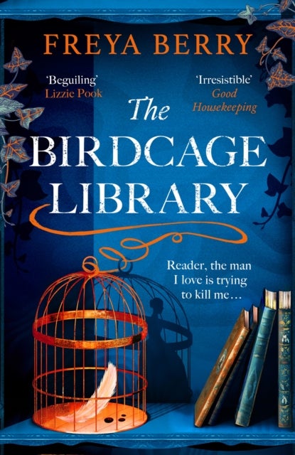 The Birdcage Library - A spellbinding novel of a missing woman, a house of secrets and hidden clues to find
