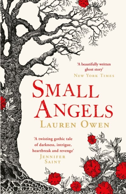 Small Angels - 'A twisting gothic tale of darkness, intrigue, heartbreak and revenge' Jennifer Saint