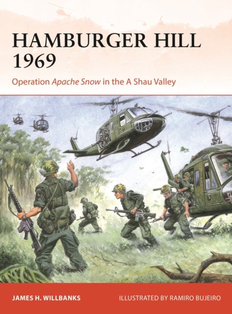 Hamburger Hill 1969 - Operation Apache Snow in the A Shau Valley