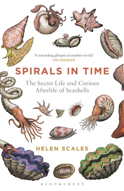 Spirals in Time - The Secret Life and Curious Afterlife of Seashells