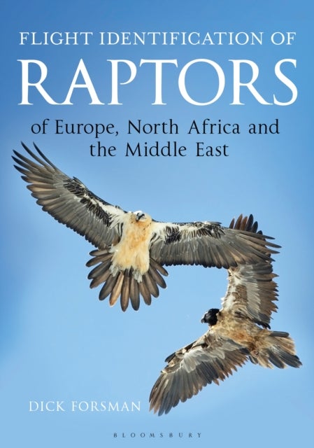 Bilde av Flight Identification Of Raptors Of Europe, North Africa And The Middle East Av Dick Forsman