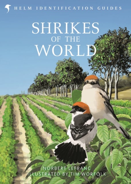 Shrikes of the World - THE BB/BTO BIRD BOOK OF THE YEAR