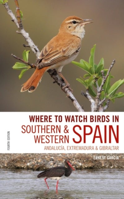 Where to Watch Birds in Southern and Western Spain - Andalucia, Extremadura and Gibraltar