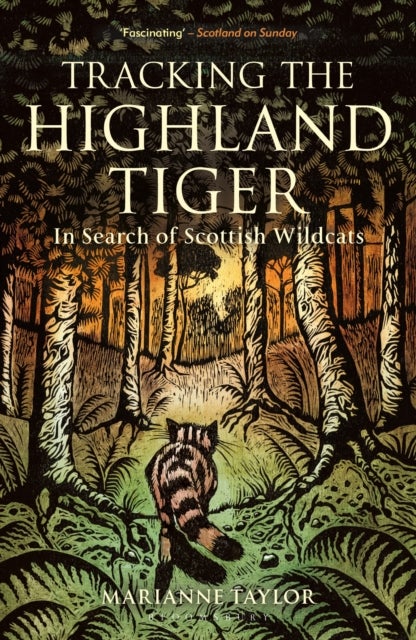 Tracking The Highland Tiger - In Search of Scottish Wildcats