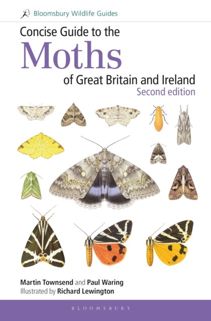 Bilde av Concise Guide To The Moths Of Great Britain And Ireland: Second Edition Av Martin Townsend, Dr Paul Waring