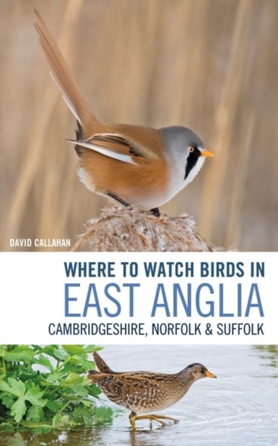 Where to Watch Birds in East Anglia - Cambridgeshire, Norfolk and Suffolk