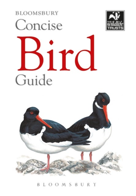 Bilde av Concise Bird Guide Av Bloomsbury