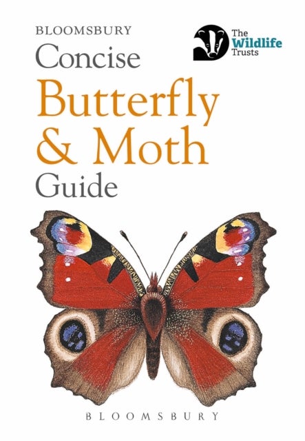 Bilde av Concise Butterfly And Moth Guide Av Bloomsbury