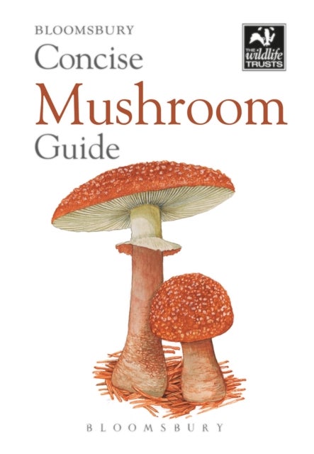 Bilde av Concise Mushroom Guide Av Bloomsbury