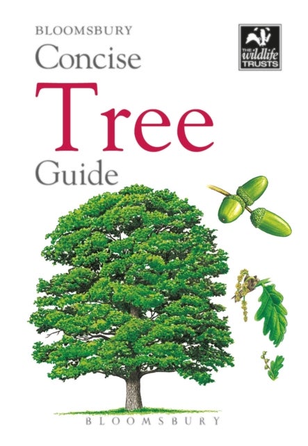 Bilde av Concise Tree Guide Av Bloomsbury