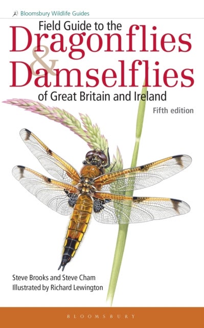 Bilde av Field Guide To The Dragonflies And Damselflies Of Great Britain And Ireland Av Steve Brooks, Steve Cham