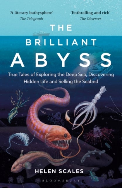 The Brilliant Abyss - True Tales of Exploring the Deep Sea, Discovering Hidden Life and Selling the Seabed