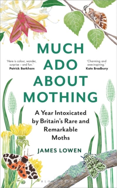Much Ado About Mothing - A year intoxicated by Britain's rare and remarkable moths