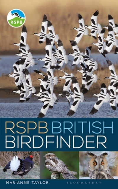 Bilde av Rspb British Birdfinder Av Marianne Taylor