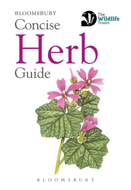 Bilde av Concise Herb Guide Av Bloomsbury
