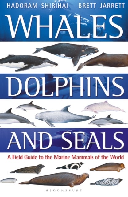 Whales, Dolphins and Seals - A field guide to the marine mammals of the world