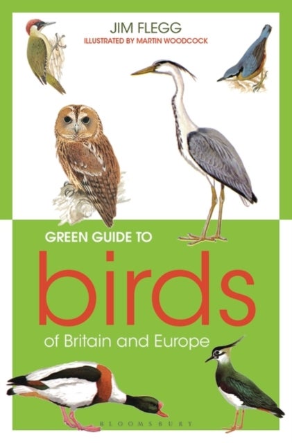 Bilde av Green Guide To Birds Of Britain And Europe Av Jim Flegg