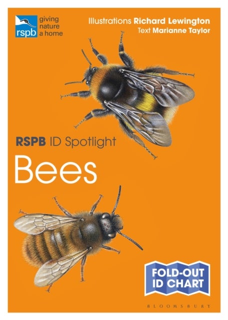 Bilde av Rspb Id Spotlight - Bees Av Marianne Taylor