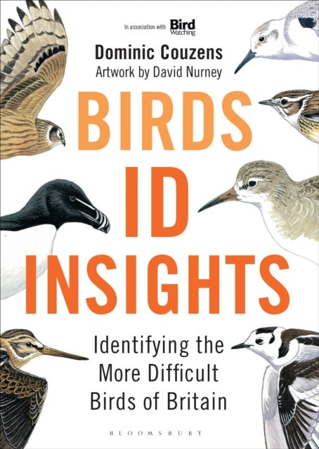 Birds: ID Insights - Identifying the More Difficult Birds of Britain