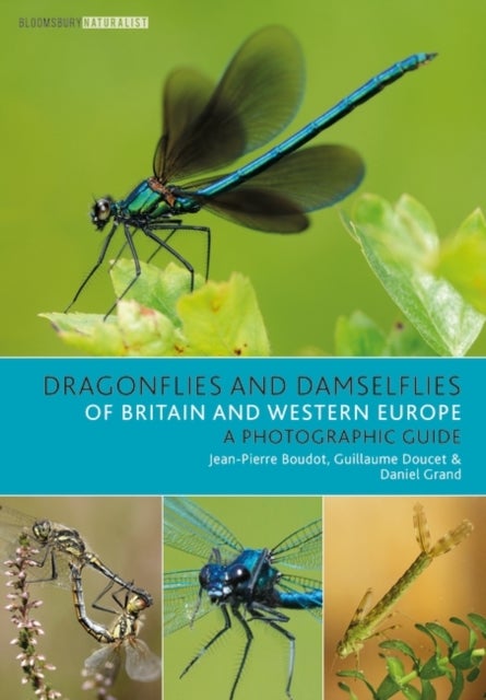 Dragonflies and Damselflies of Britain and Western Europe - A Photographic Guide