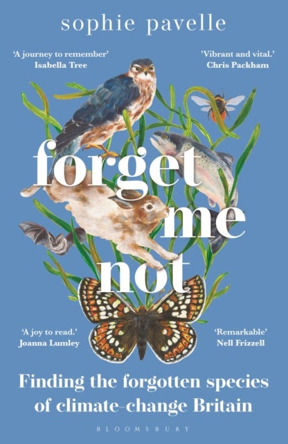 Forget Me Not - Finding the forgotten species of climate-change Britain