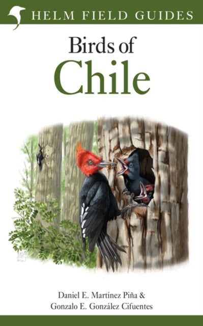 Bilde av Field Guide To The Birds Of Chile Av Daniel E. Martinez Pina, Gonzalo E. Go Cifuentes