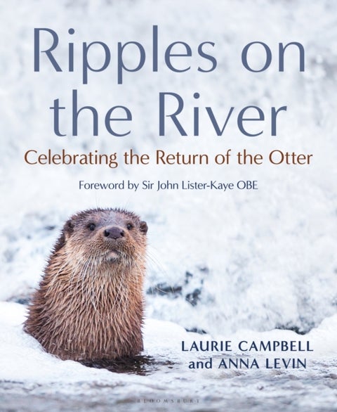 Ripples on the River - Celebrating the Return of the Otter
