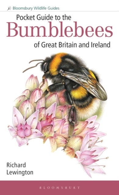 Bilde av Pocket Guide To The Bumblebees Of Great Britain And Ireland Av Richard Lewington
