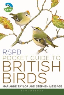 Bilde av Rspb Pocket Guide To British Birds Av Marianne Taylor