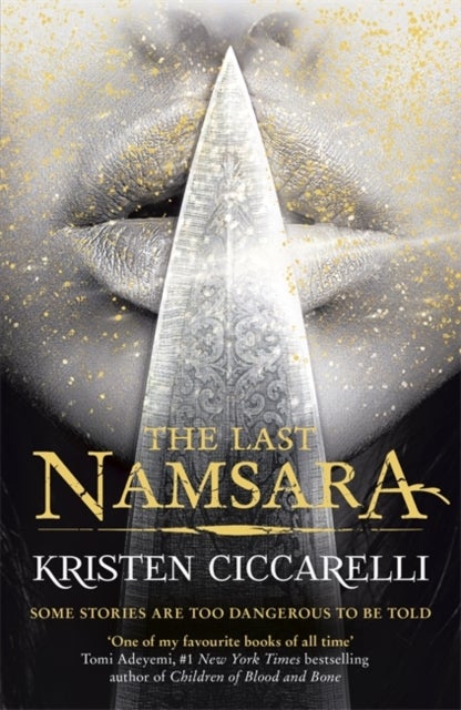 The Last Namsara - Some stories are too dangerous to be told